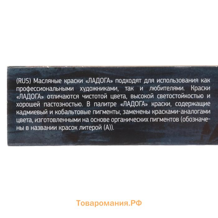 Краска масляная художественная, набор 12 цветов х 18 мл, ЗХК "Ладога", 1241004