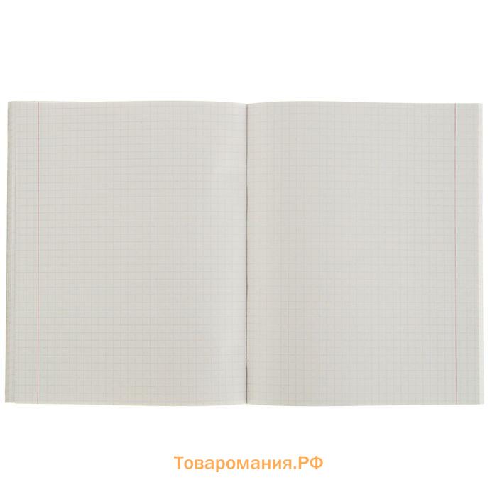 Тетрадь 48 листов в клетку, Calligrata «Авто», обложка мелованная бумага, серые листы, МИКС