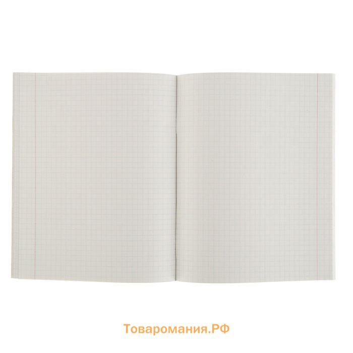 Тетрадь 48 листов в клетку Calligrata «Орнамент», обложка мелованная бумага, блок №2, белизна 75% (серые листы), МИКС