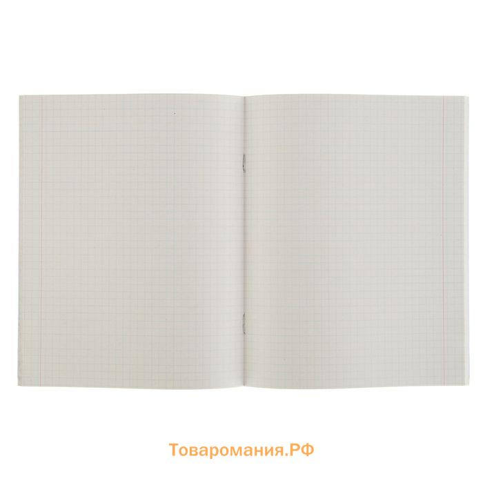 Тетрадь 48 листов в клетку Calligrata «Графика», обложка мелованная бумага, серые листы, МИКС