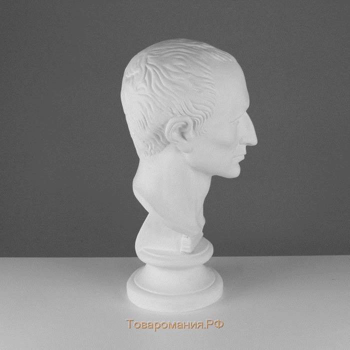 Гипсовая фигура Голова Цезаря, 20 х 27 х 52 см