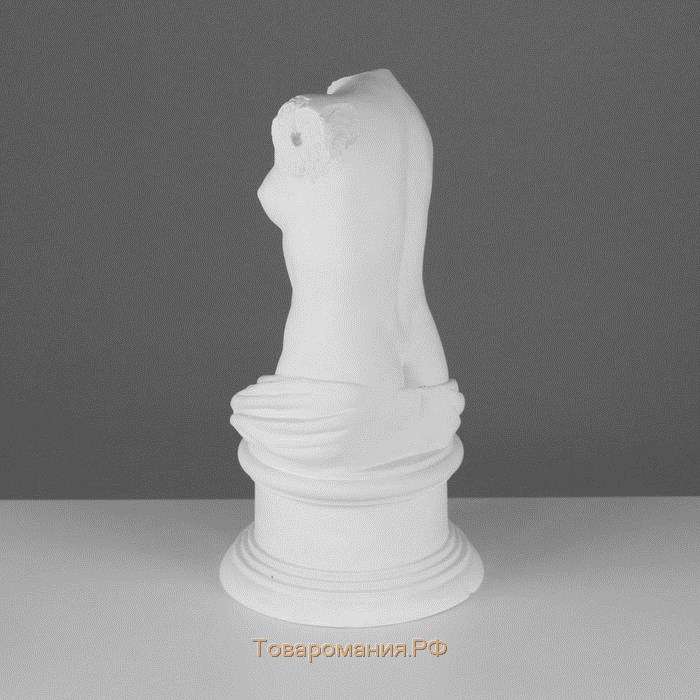 Гипсовая фигура Торс Венеры Милосской, 20 х 20 х 36 см