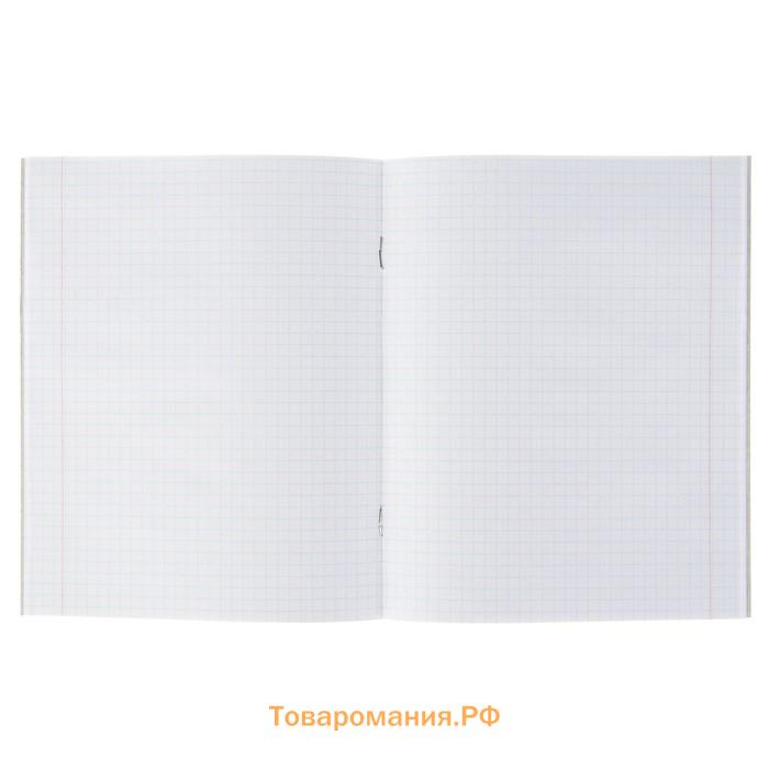 Тетрадь 36 листов в клетку Calligrata «Котята», обложка мелованный картон, МИКС