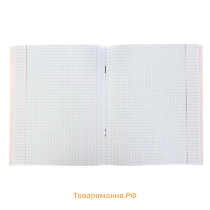 Тетрадь 48 листов в клетку Calligrata «Яркие цвета», обложка мелованный картон, УФ-лак, блок офсет, МИКС