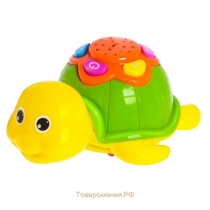 Музыкальная игрушка «Черепаха», световые и звуковые эффекты