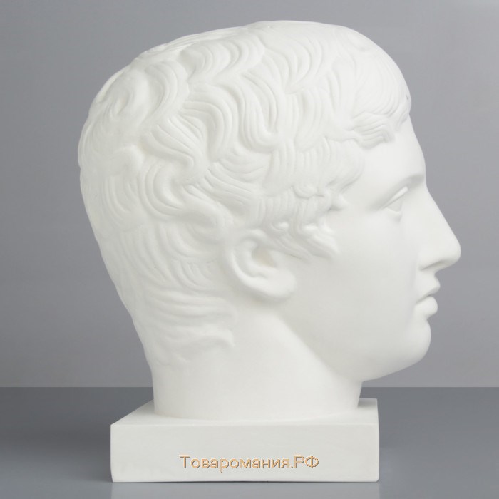 Гипсовая фигура Голова Дорифора, 21 х 29 х 35 см