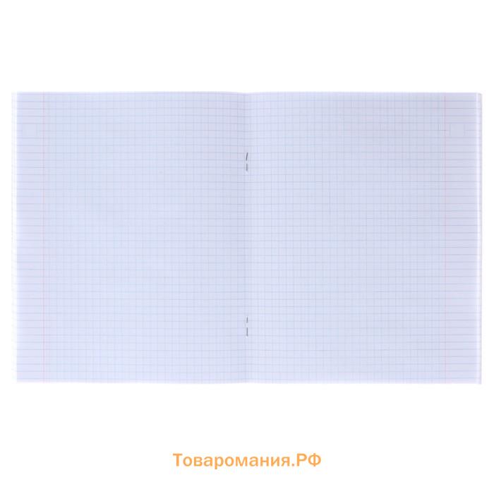 Тетрадь 36 листов в клетку Calligrata «Кактус», обложка мелованный картон, МИКС