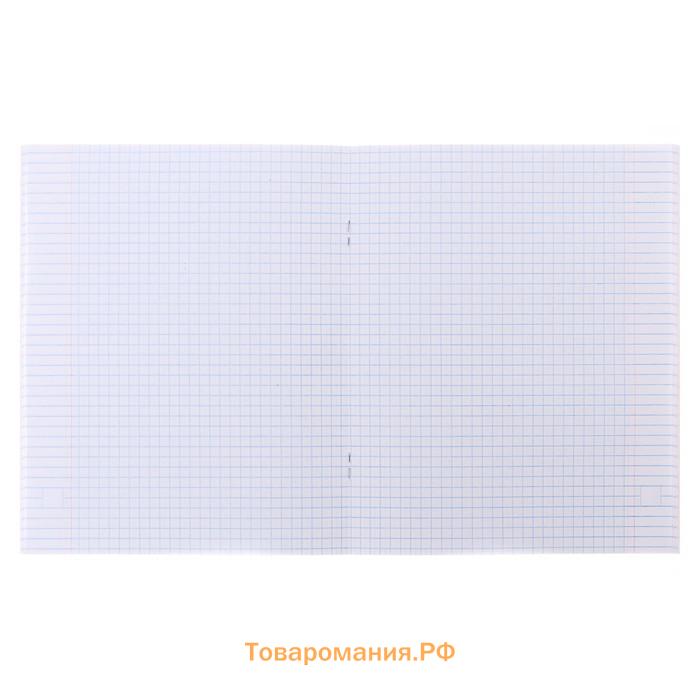 Тетрадь 48 листов в клетку, Calligrata «Кактус», обложка мелованный картон, МИКС