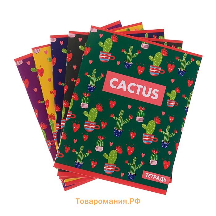 Тетрадь 48 листов в клетку, Calligrata «Кактус», обложка мелованный картон, МИКС