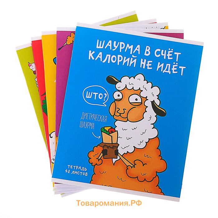 Тетрадь 48 листов в клетку Calligrata «Лама», обложка мелованный картон, МИКС