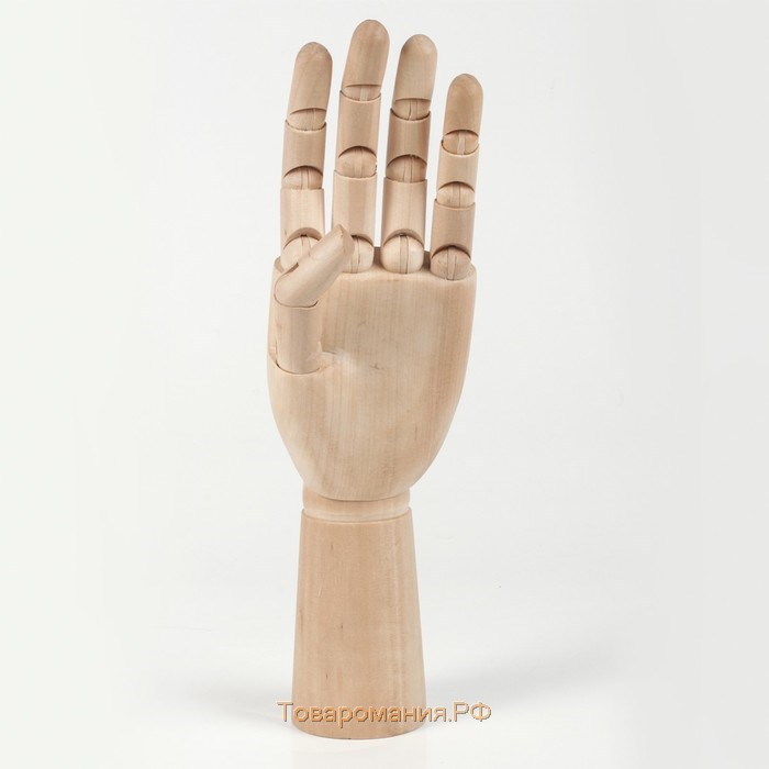 Деревянная фигура «Анатомические детали: Рука левая мужская», высота 30 см, BRAUBERG