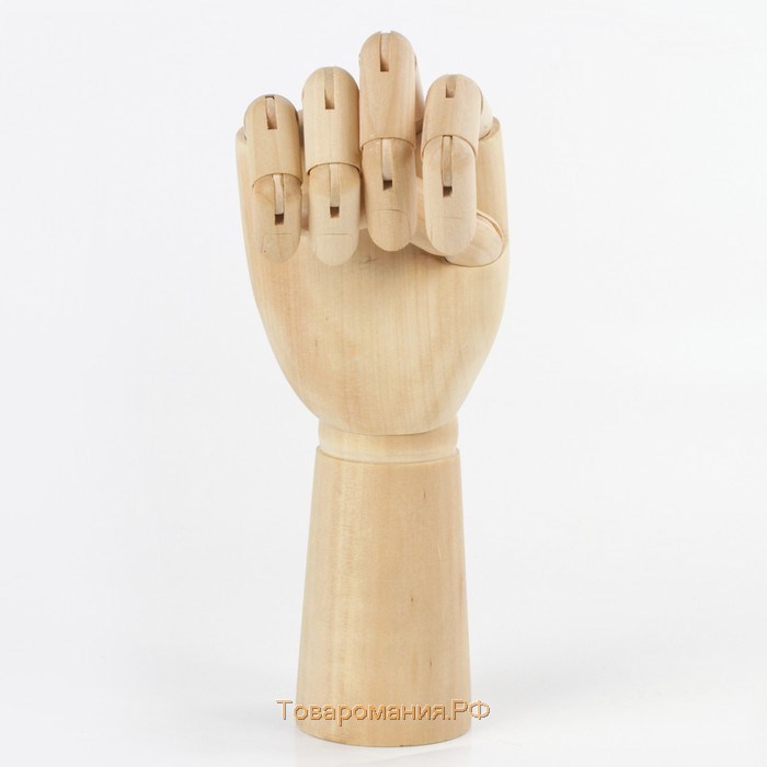 Деревянная фигура «Анатомические детали: Рука левая мужская», высота 30 см, BRAUBERG