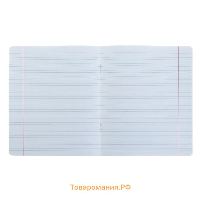 Тетрадь 12 листов в узкую линейку, ErichKrause «Классика Visio», обложка мелованный картон, зелёная