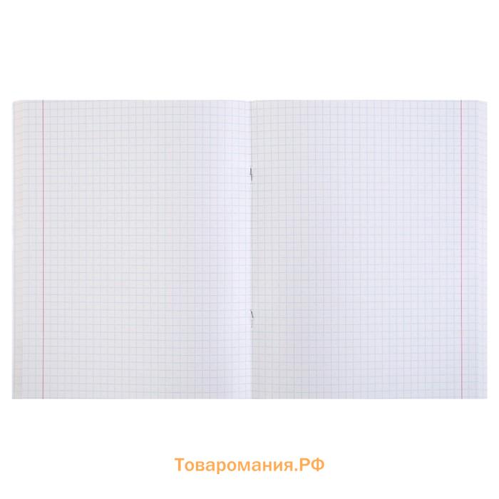 Тетрадь 48 листов в клетку Calligrata «Красоты природы», обложка мелованная бумага, серые листы, МИКС