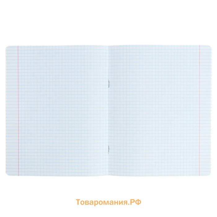 Тетрадь 12 листов в клетку «Котомания», обложка мелованная бумага, МИКС