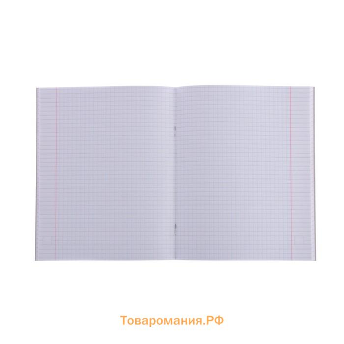 Тетрадь 48 листов в клетку, Calligrata, K-POP, обложка мелованный картон, МИКС