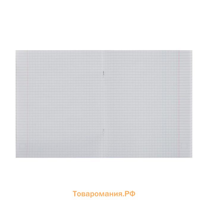 Тетрадь 48 листов в клетку, Calligrata, Neon, обложка мелованный картон, МИКС