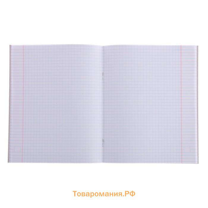 Тетрадь 48 листов в клетку Calligrata «Дерзкий енот», обложка мелованный картон, МИКС