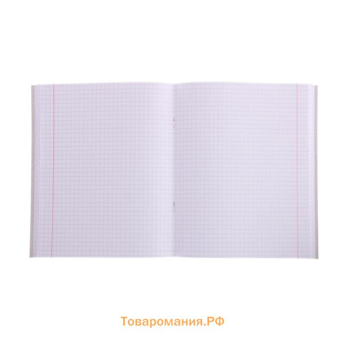 Тетрадь 96 листов в клетку Calligrata Notebook, обложка мелованный картон, блок офсет, МИКС