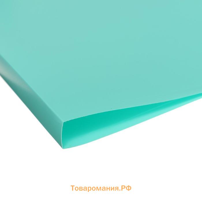 Папка на 2 кольцах А4 Calligrata, 18 мм, 500 мкм, ледяной зеленый