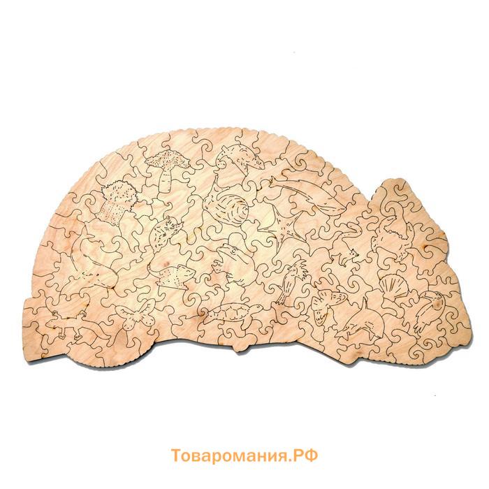 Деревянный пазл «Красочный Хамелеон», 34×30 см
