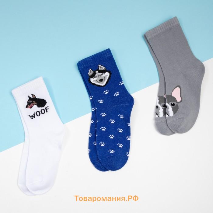 Набор детских носков KAFTAN «Гав-гав», 3 пары, размер 14-16