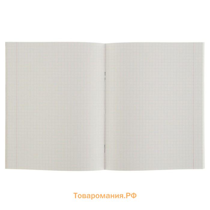 Комплект тетрадей из 5 штук (4 разные + 1 повторяющаяся), 48 листов в клетку Calligrata "Россия", обложка мелованная бумага, блок №2, белизна 75% (серые листы)