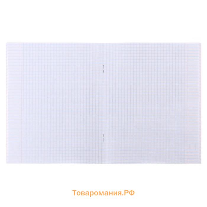 Набор тетрадей 48 листов в клетку Calligrata «Фламинго», обложка мелованный картон, 5 шт.