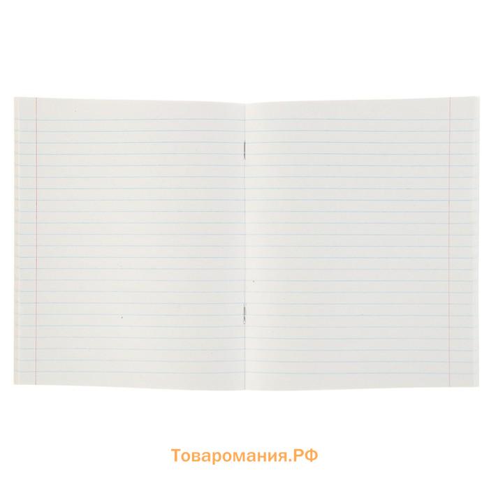 Комплект тетрадей из 5 штук (4 разные + 1 повторяющаяся), 48 листов в линию Calligrata "Мегаполис", обложка мелованная бумага, блок №2, белизна 75% (серые листы)