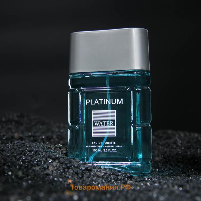 Туалетная вода мужская Platinum Water, 100 мл (по мотивам Blue Label (Givenchy)