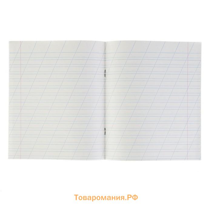 Набор тетрадей 12 листов в косую линейку «Зелёная обложка», белизна 75%, серые листы, 20 шт.