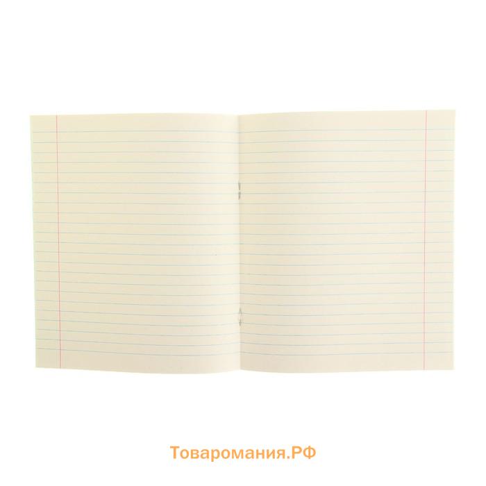 Набор тетрадей 12 листов в линию «Зелёная обложка», серые листы, 20 шт.