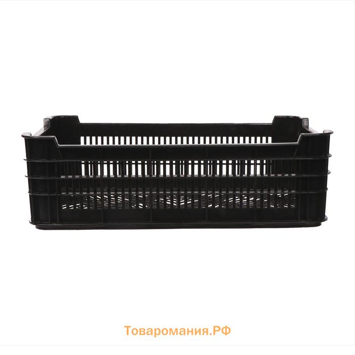 Ящик универсальный, пластиковый, 52×32×16 см, на 30 кг, чёрный, МИКС