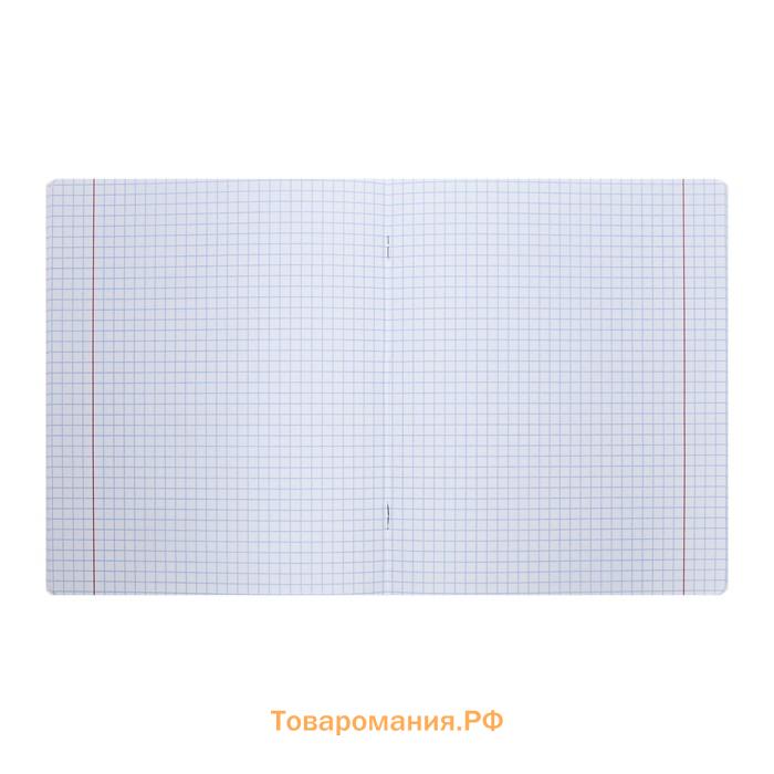 Тетрадь 48 листов в клетку, BRAUBERG Anime, МИКС