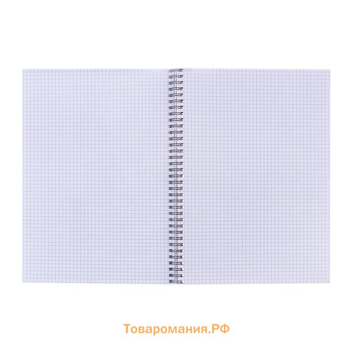 Тетрадь А4, 80 листов в клетку на гребне Calligrata «Тут кот», обложка мелованный картон, офсет, зеленая