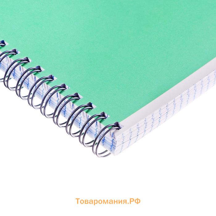 Тетрадь А4, 80 листов в клетку на гребне Calligrata «Тут кот», обложка мелованный картон, офсет, зеленая
