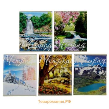 Тетрадь 48 листов в клетку Calligrata «Пейзаж», обложка мелованный картон, блок №2, белизна 75% (серые листы), МИКС