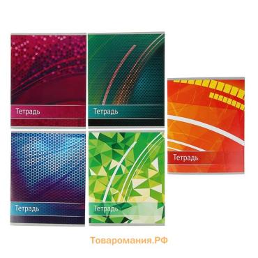 Тетрадь 48 листов в клетку, Calligrata «Авокато», обложка мелованный картон, МИКС