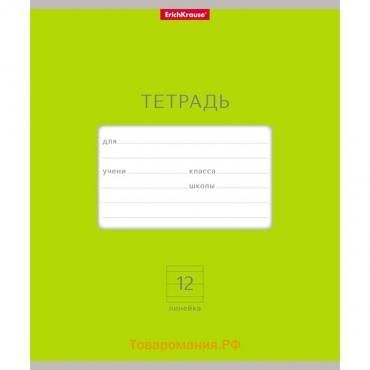 Тетрадь 12 листов в линейку ErichKrause «Классика Bright», обложка мелованный картон, блок офсет, белизна 100%, зелёная