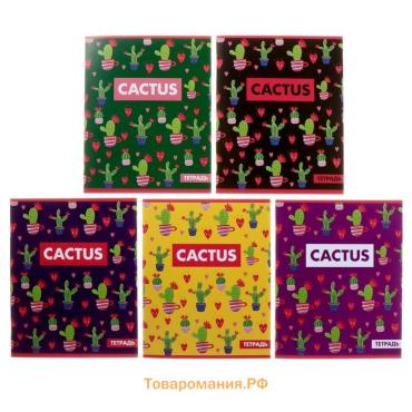 Тетрадь 36 листов в клетку Calligrata «Кактус», обложка мелованный картон, МИКС