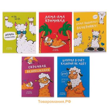 Тетрадь 48 листов в клетку Calligrata «Лама», обложка мелованный картон, МИКС