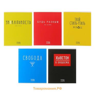 Тетрадь 48 листов в клетку Calligrata «Надпись», обложка мелованный картон, блок офсет, МИКС