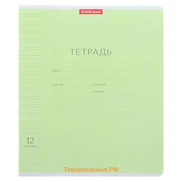 Тетрадь 12 листов в узкую линейку, ErichKrause «Классика Visio», обложка мелованный картон, зелёная
