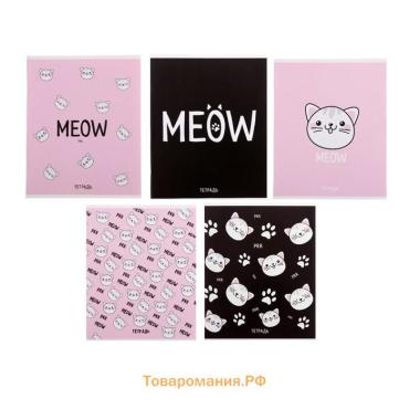 Тетрадь 48 листов в клетку, Calligrata Meow, обложка мелованный картон, МИКС