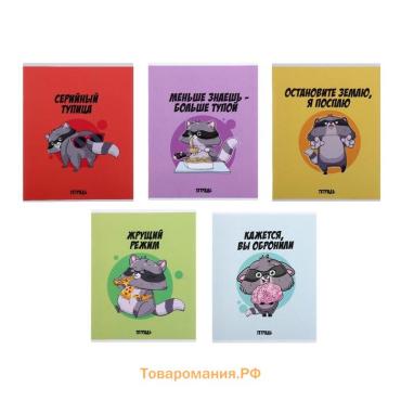 Тетрадь 48 листов в клетку Calligrata «Дерзкий енот», обложка мелованный картон, МИКС