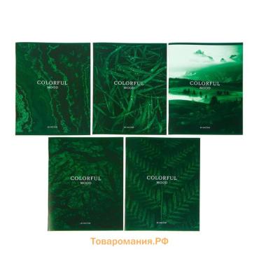 Тетрадь 48 листов в клетку, Calligrata «Изумруд», обложка мелованный картон, серые листы, МИКС