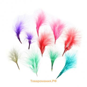 Набор перьев для декора 10 шт., размер 1 шт: 7×7 см, цвета пудровые МИКС