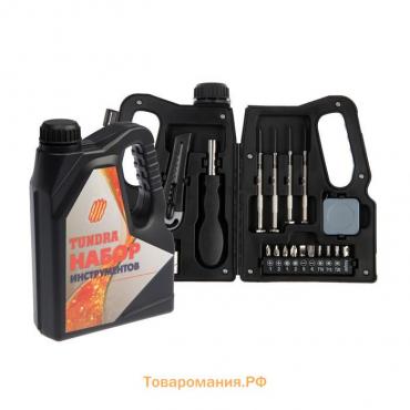 Набор инструментов ТУНДРА, подарочный пластиковый кейс "Канистра", 21 предмет
