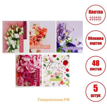 Набор тетрадей 48 листов в клетку Calligrata «Цветной камуфляж», обложка мелованный картон, 5 шт.