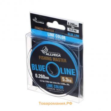 Леска монофильная ALLVEGA Fishing Master, диаметр 0.260  мм, тест 5.3 кг, 30 м, голубая